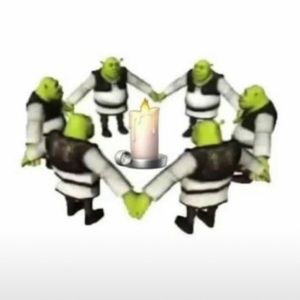 Meet your Posher, Maddie